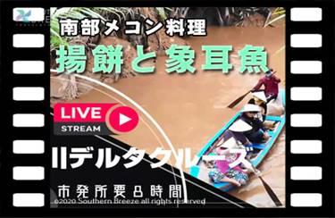 【オンラインツアー/生中継】
お家でベトナム旅行　～東南アジア最長のメコン川から生中継～
メコン川クルーズ・手漕ぎボート・メコン郷土料理の象耳魚の紹介