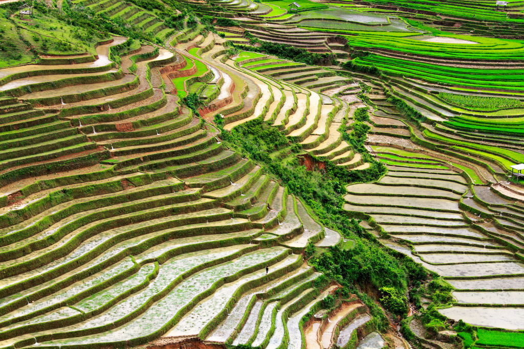 jetstar tour sapa