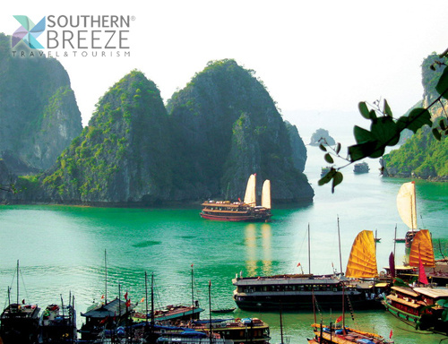 Ha Long Cruise5