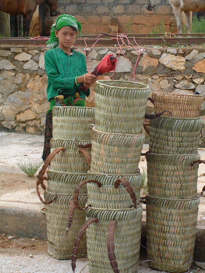 Vietnam ethnic minority