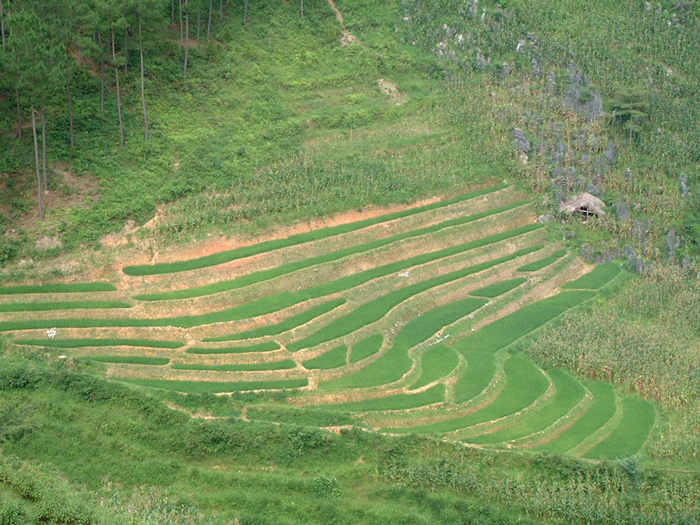 Vietnam ethnic minority