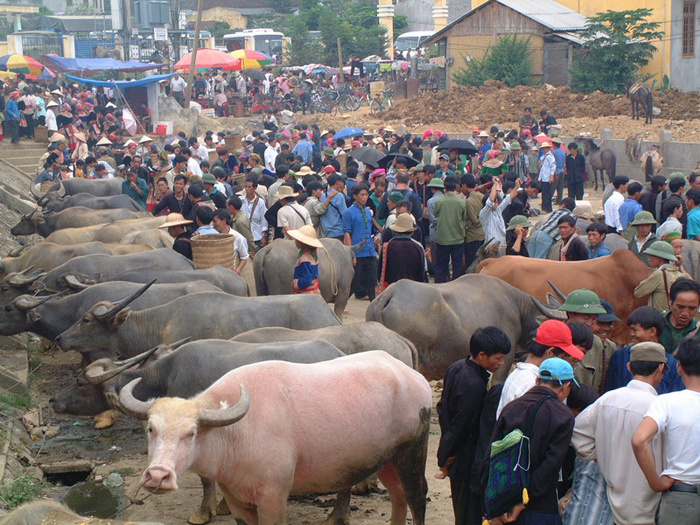 Vietnam ethnic minority