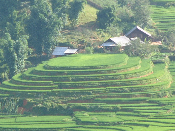 Vietnam ethnic minority