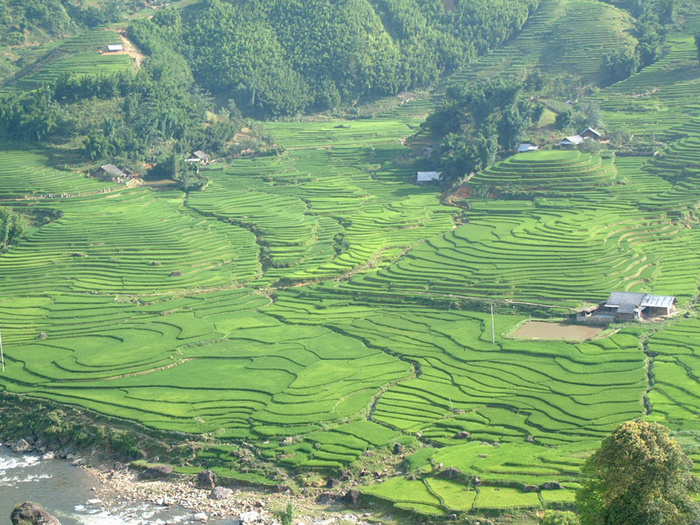 Vietnam ethnic minority