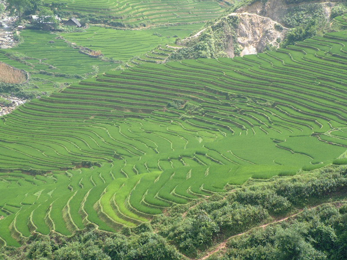 Vietnam ethnic minority