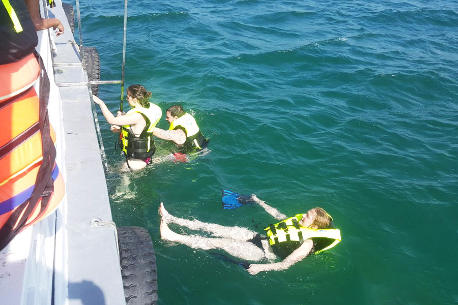 の画像 Snorkeling &Fishing in the North Island #0 の画像 Snorkeling &Fishing in the North Island #0
