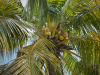 Southern breeze